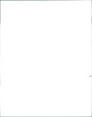 1990 Jeep Wrangler S and 1990 Jeep Wrangler Islander - Vintage Photograph