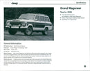 1990 Jeep Grand Wagoneer - Vintage Photograph