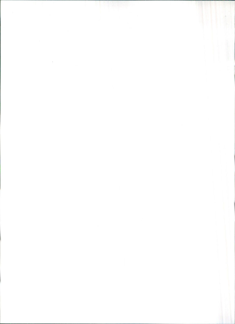 1981 Alfa Romeo Giulietta - Vintage Photograph