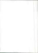 1982 Citroen Acadiane - Vintage Photograph