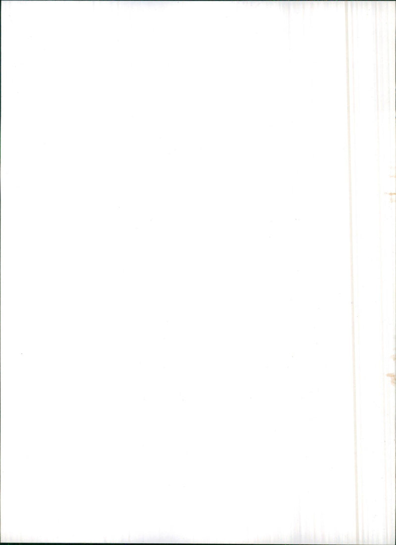 1982 Citroen 2CV Charleston - Vintage Photograph