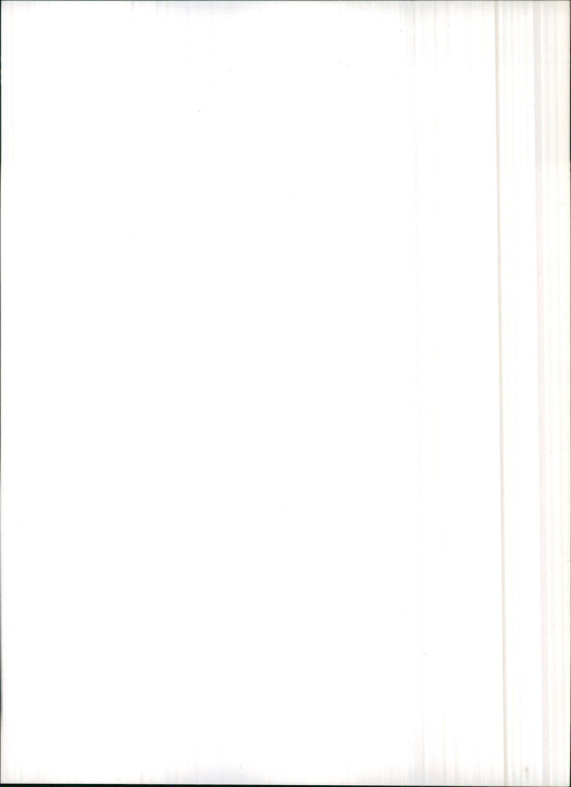 1982 Citroen LNA - Vintage Photograph