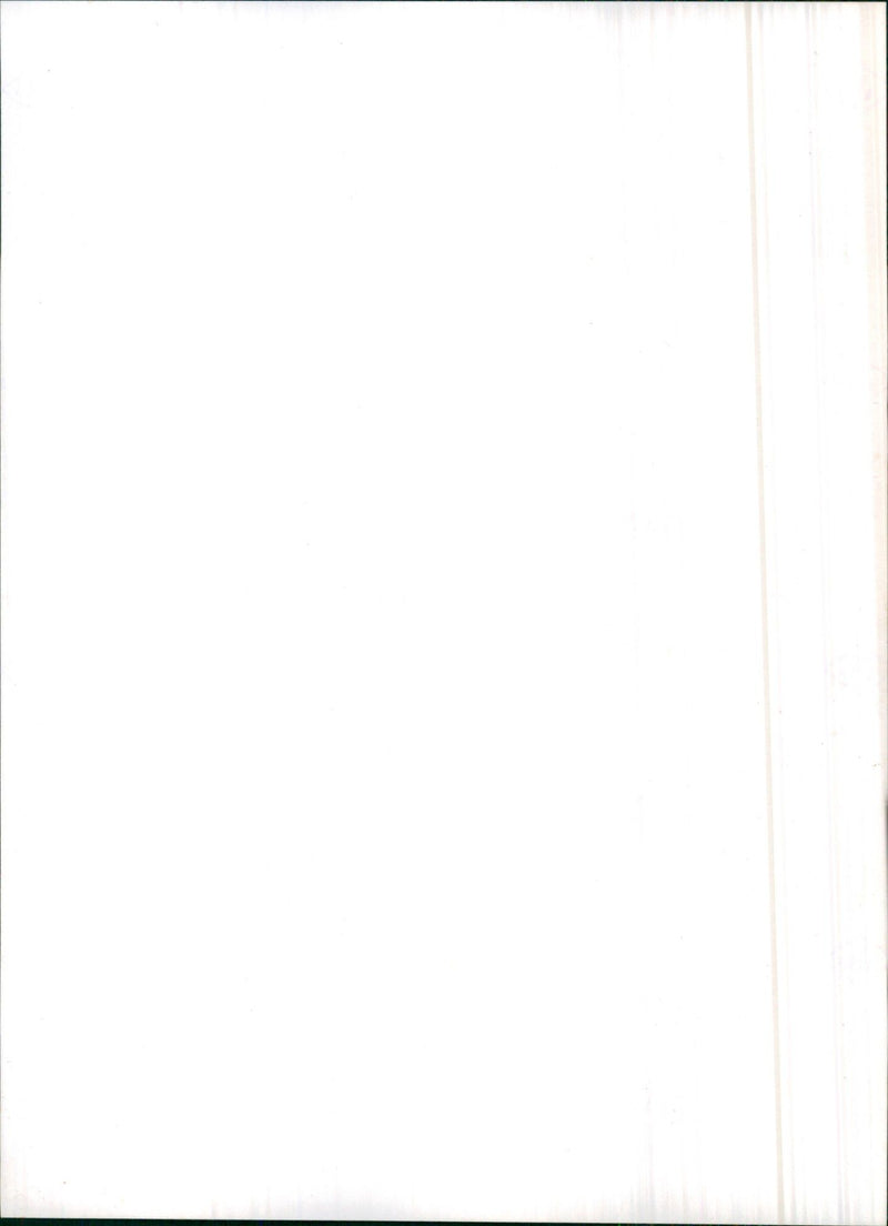 1982 Citroen 2CV6 Club - Vintage Photograph