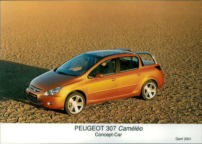 2001 Peugeot 307 Cameleo - Vintage Photograph