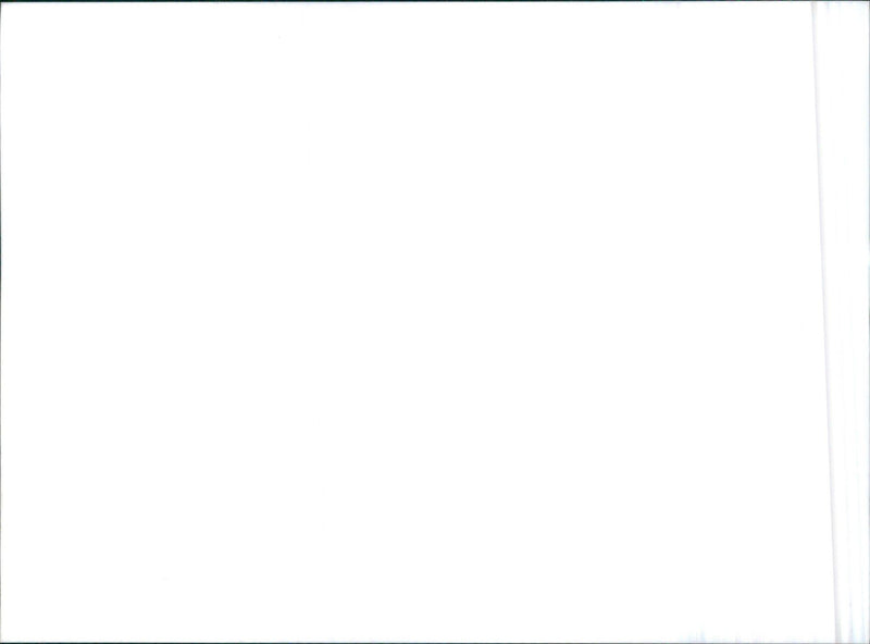 1985 Nissan Mid 4 - Vintage Photograph