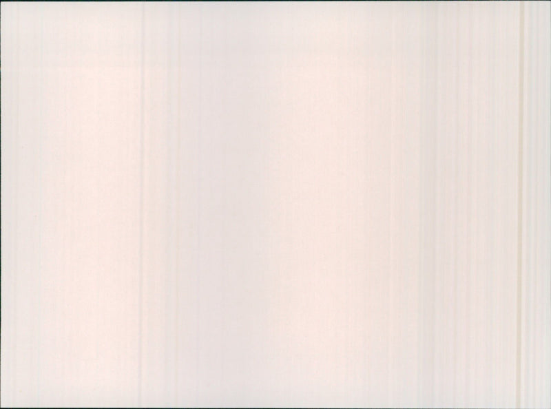 Subaru - Vintage Photograph