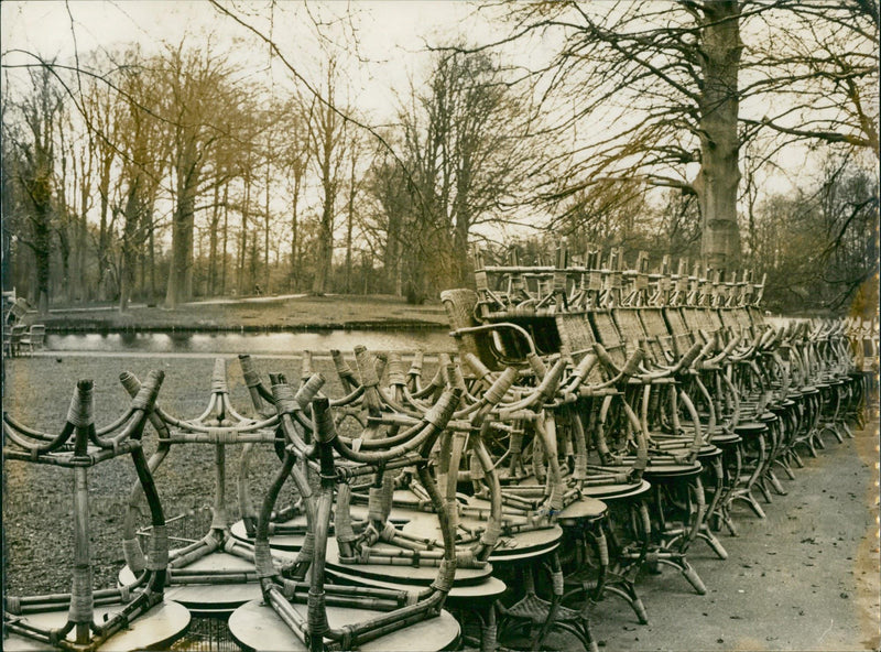 A winter view of the Keukenhof - Vintage Photograph