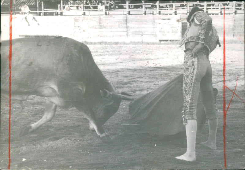 Alberto Ruiz fighting a bull - Vintage Photograph