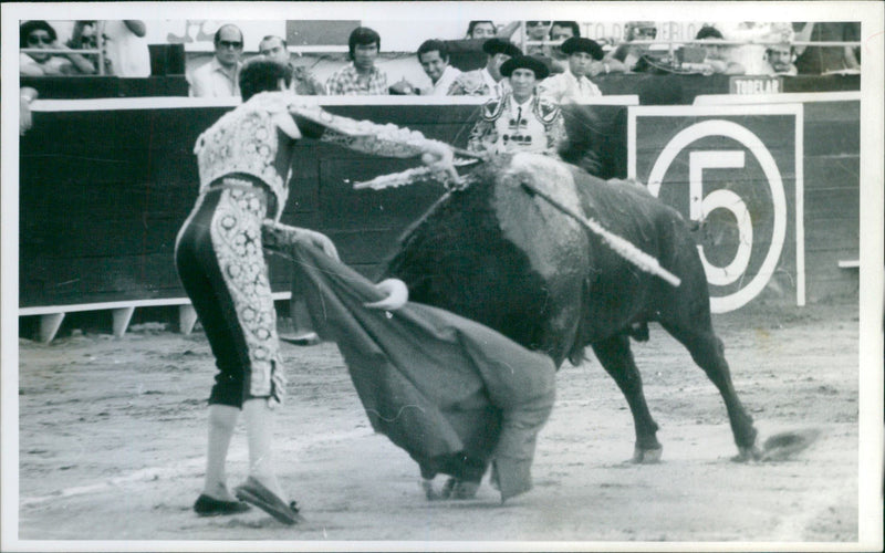 Alberto Ruiz in the arena - Vintage Photograph