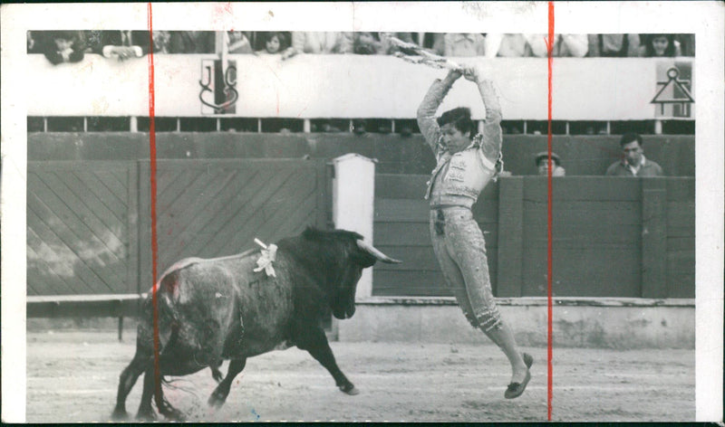 Alberto Ruiz fighting a bull - Vintage Photograph