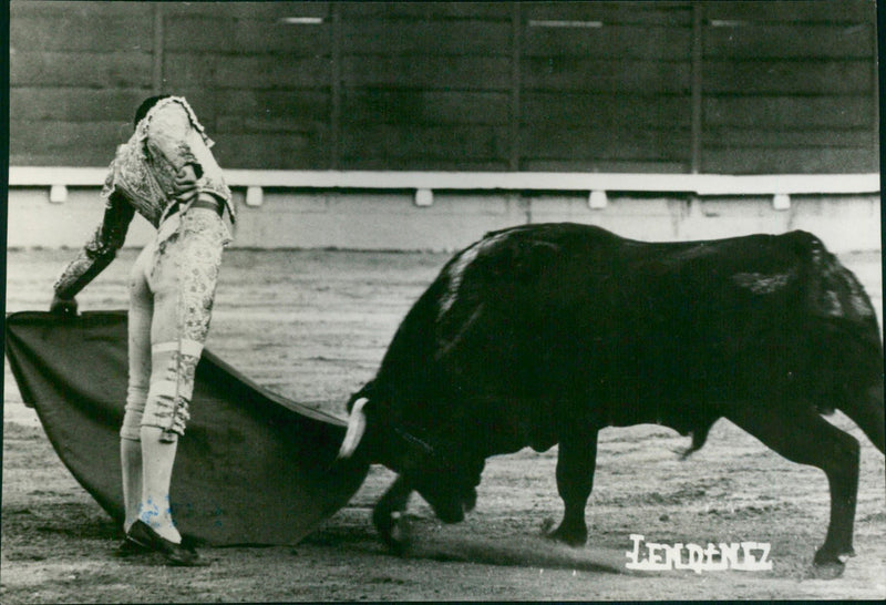 Jose Luis Parada, Bullfighter - Vintage Photograph