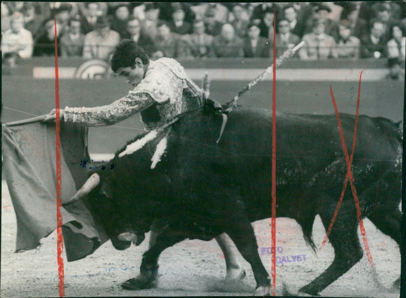 Jose Luis Parada, Bullfighter - Vintage Photograph