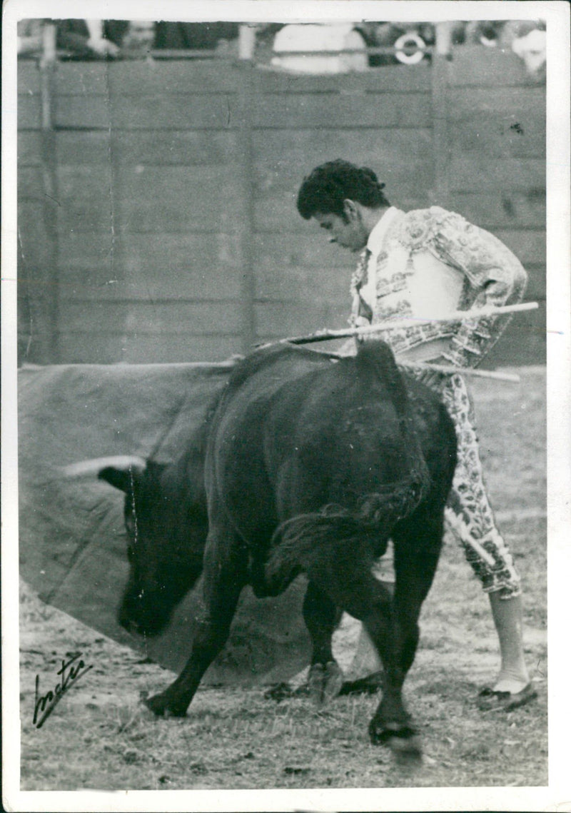 Bullfighter - Vintage Photograph