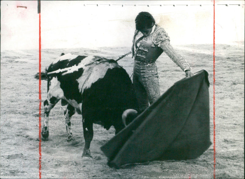 Santiago Cortes, Bullfigher - Vintage Photograph