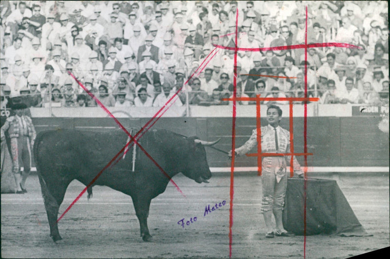 Alfonso Vazquez II, Bullfighter - Vintage Photograph