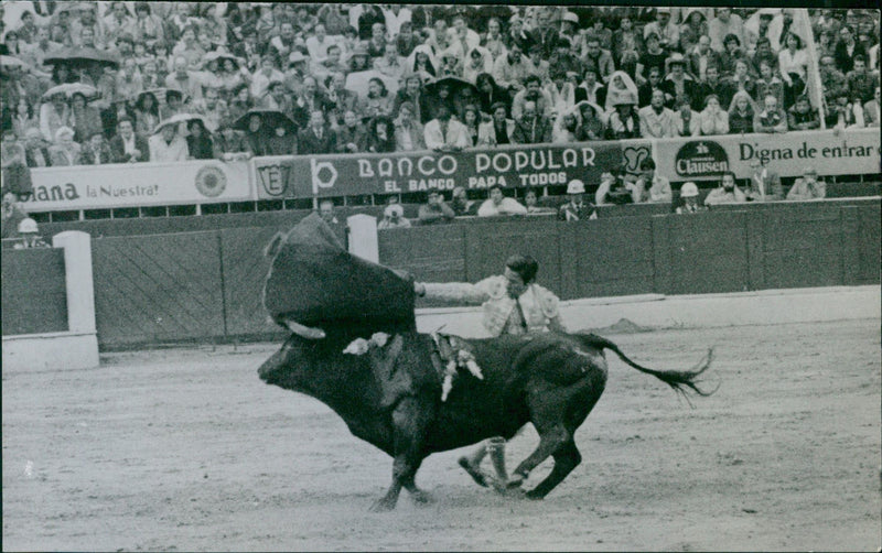 Alfonso Vazquez, Bullfighter - Vintage Photograph