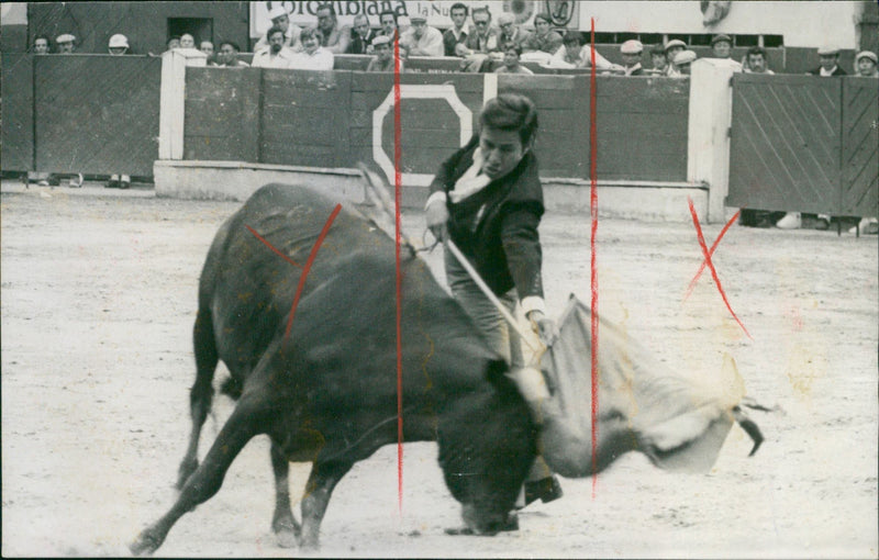 Alfonso Vazquez II, Bullfighter - Vintage Photograph