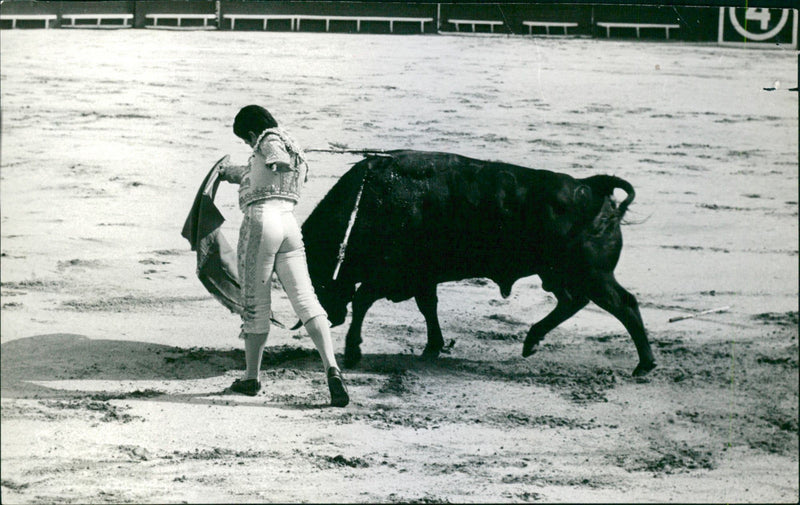 Alfonso Vazquez II, Bullfighter - Vintage Photograph