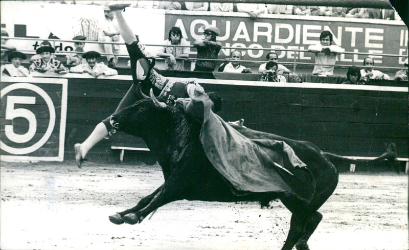 Alfonso Vazquez II, Bullfighter - Vintage Photograph