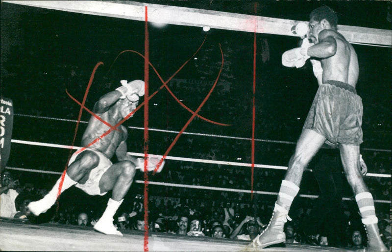 Ricardo Cardona, Boxer - Vintage Photograph