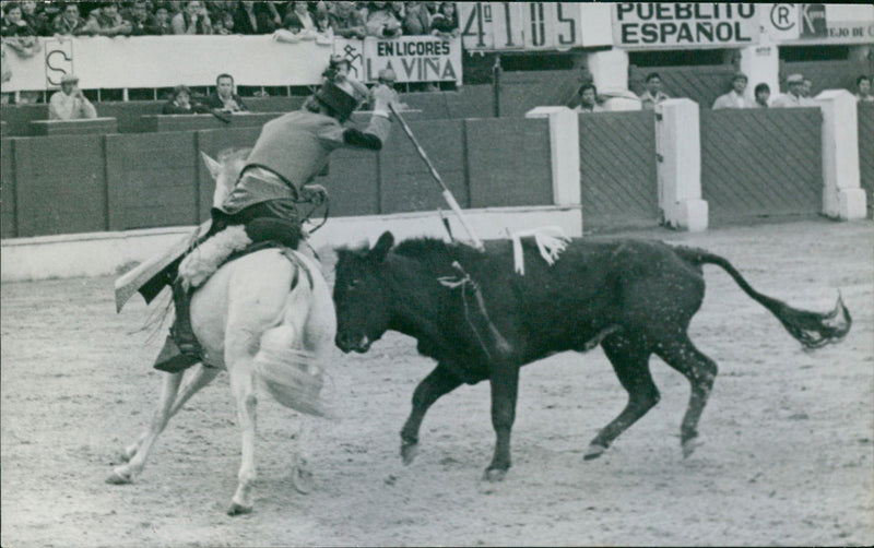 Antonio Vargas, Bullfighter - Vintage Photograph