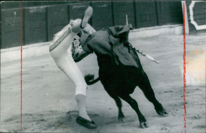 Bullfighter - Vintage Photograph