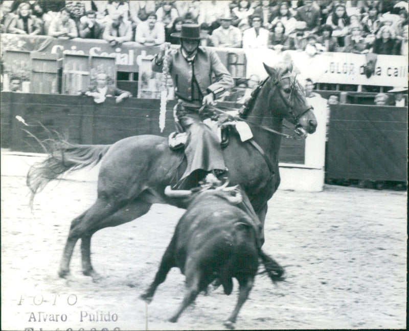 Bullfighter - Vintage Photograph