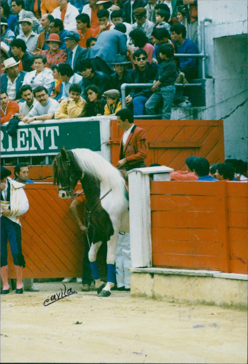 Don Gustavo Laverde - Vintage Photograph