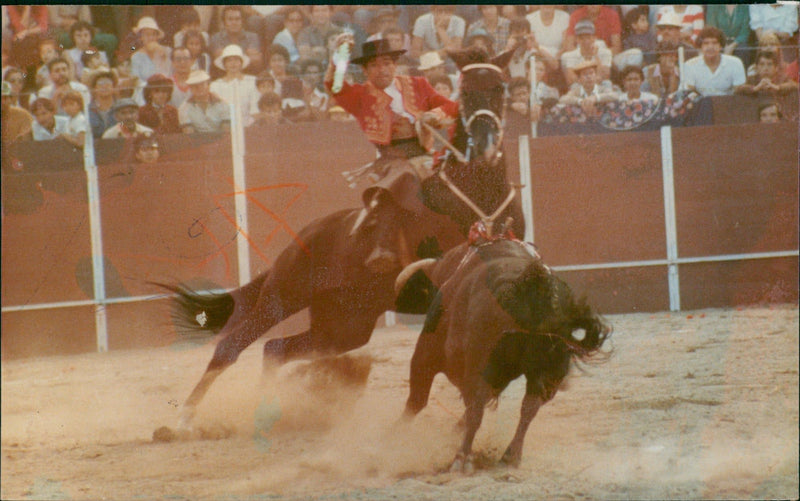 Bullfighter - Vintage Photograph