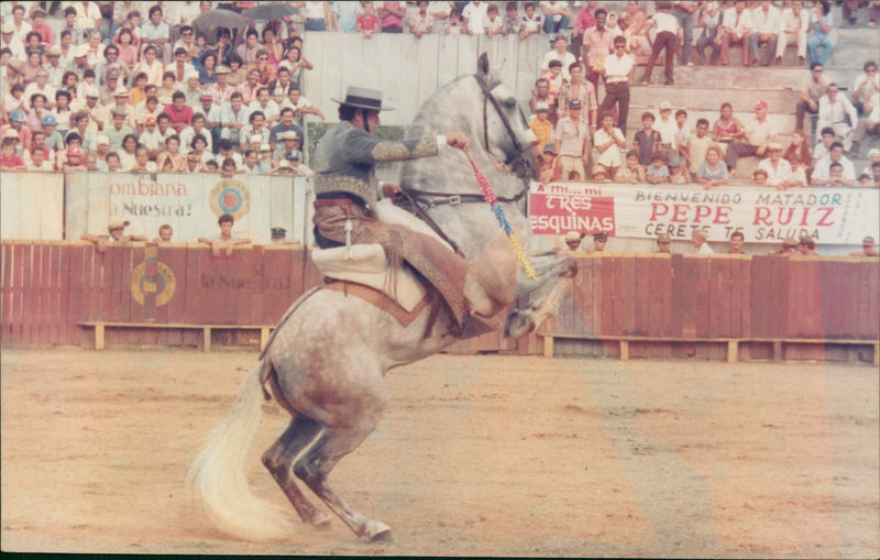 Dayro Chica, Bullfighter - Vintage Photograph