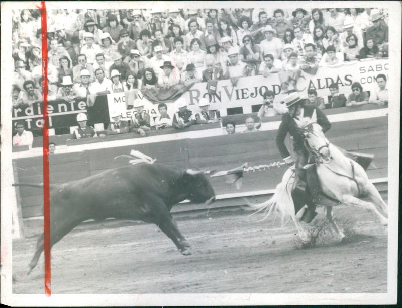 Bullfighter - Vintage Photograph