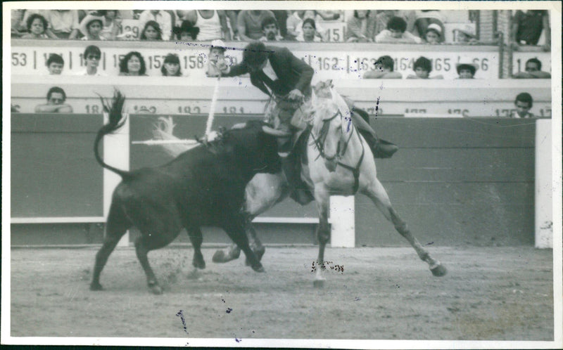 Fabio Ochoa, Bulfighter - Vintage Photograph