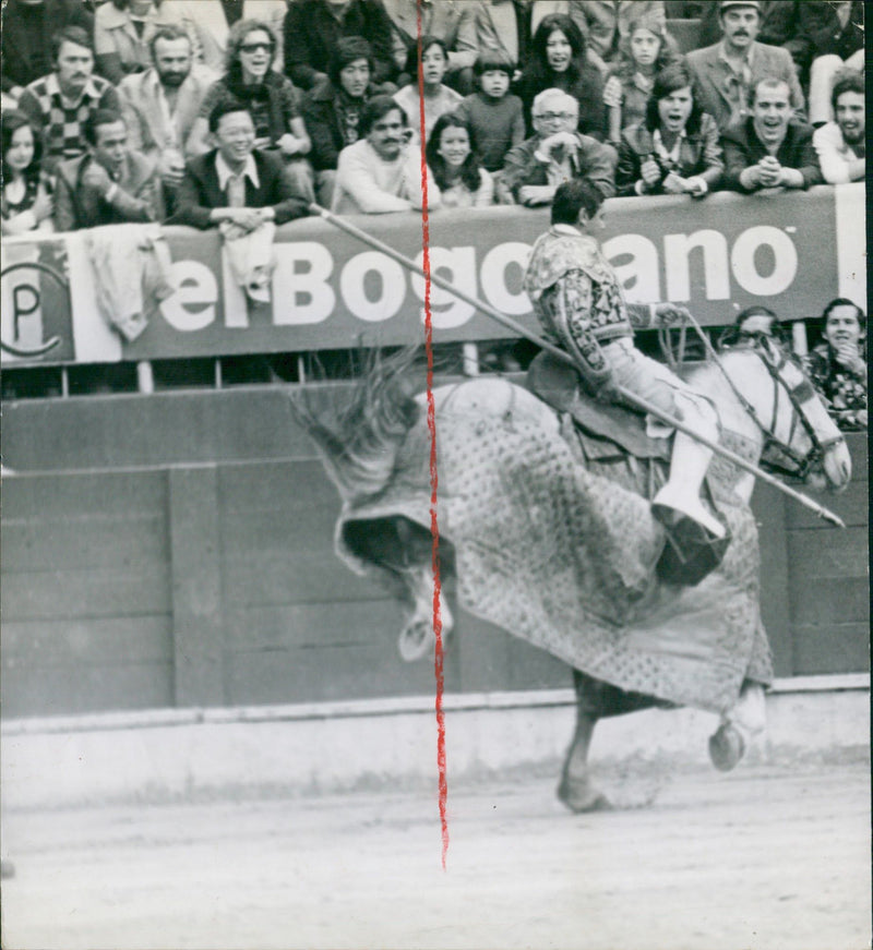 Bullfighter - Vintage Photograph