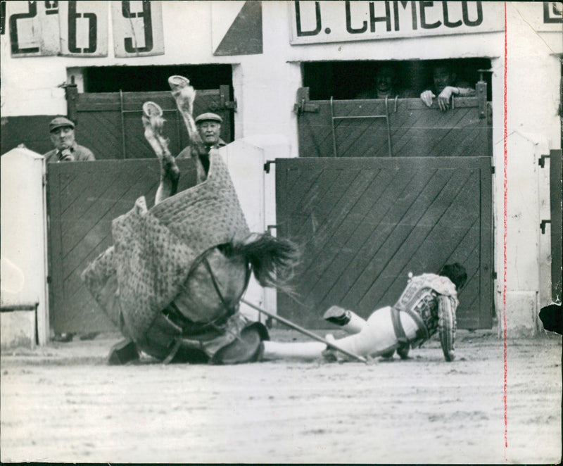 Bullfighter - Vintage Photograph