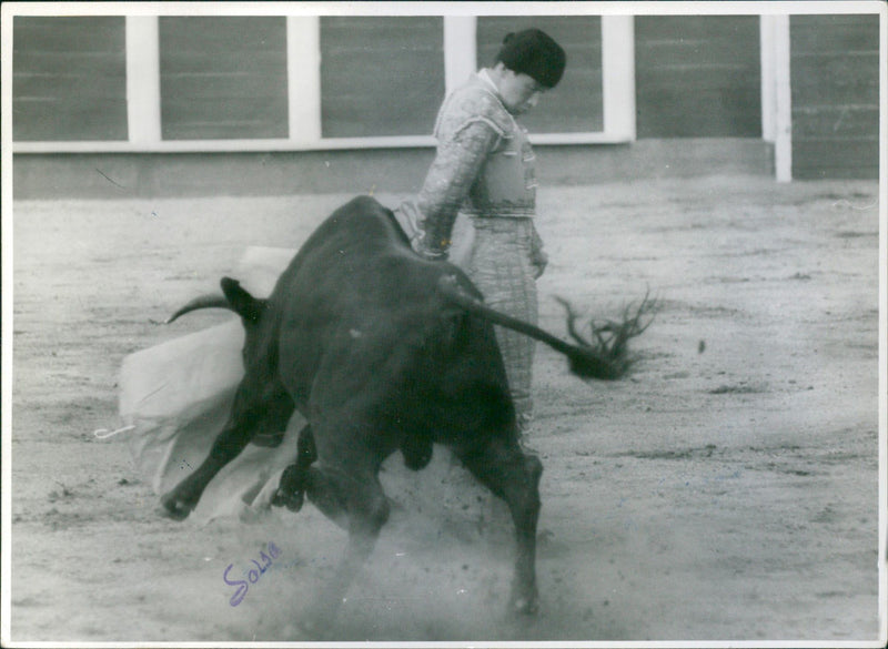 Paco Rodriguez (bullfighter) - Vintage Photograph