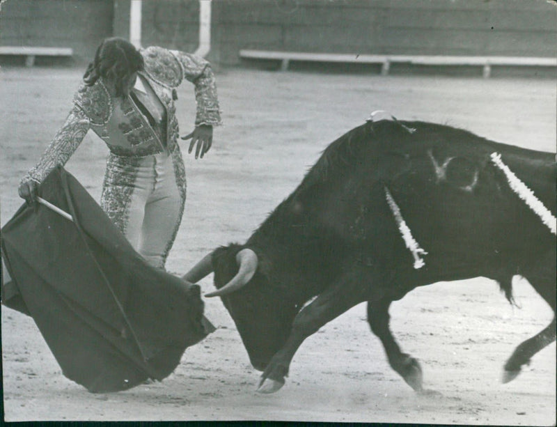 Dolores Velázquez "Lola de España" - Vintage Photograph