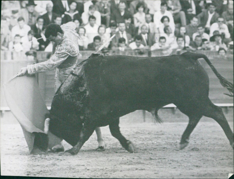 Manolo Cortés - Vintage Photograph