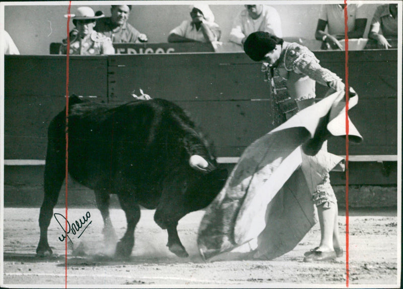 Matador Hernando Quintero 'El Solo' - Vintage Photograph