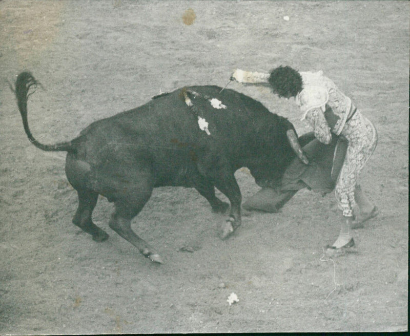 Matador Jose Mari Manzanares in display of skill - Vintage Photograph