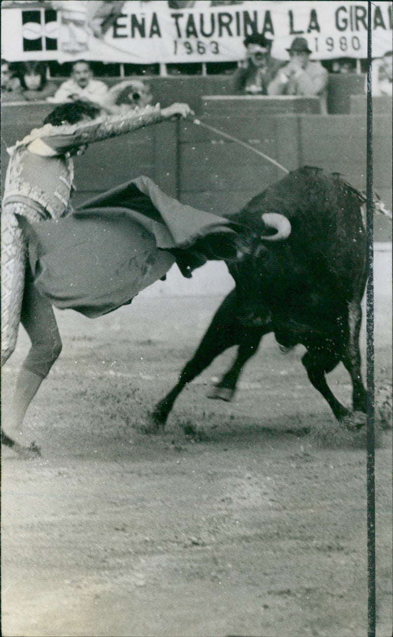 Matador bullfighting with muleta - Vintage Photograph