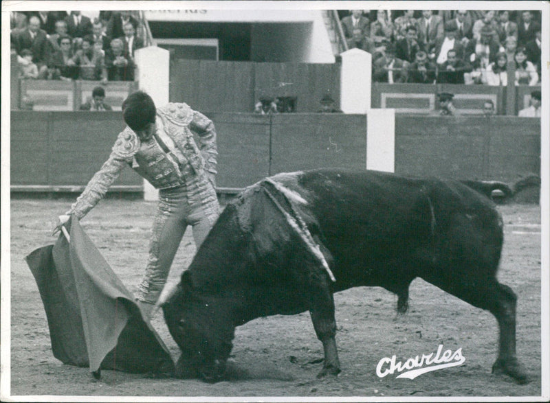 German Uruena - Vintage Photograph