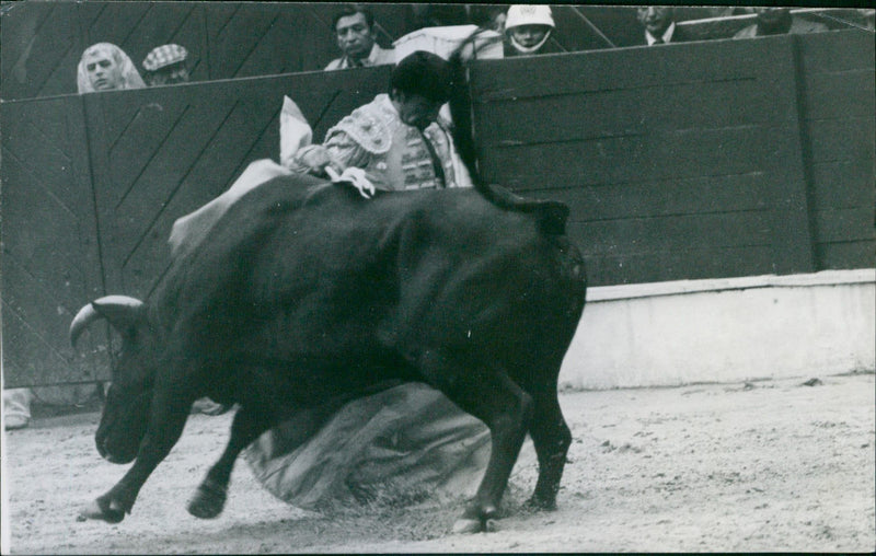 Alfonso Vazquez II, Bullfighter - Vintage Photograph