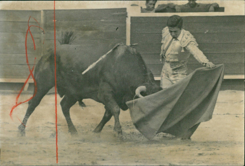 Alfonso Vazquez II, Bullfighter - Vintage Photograph