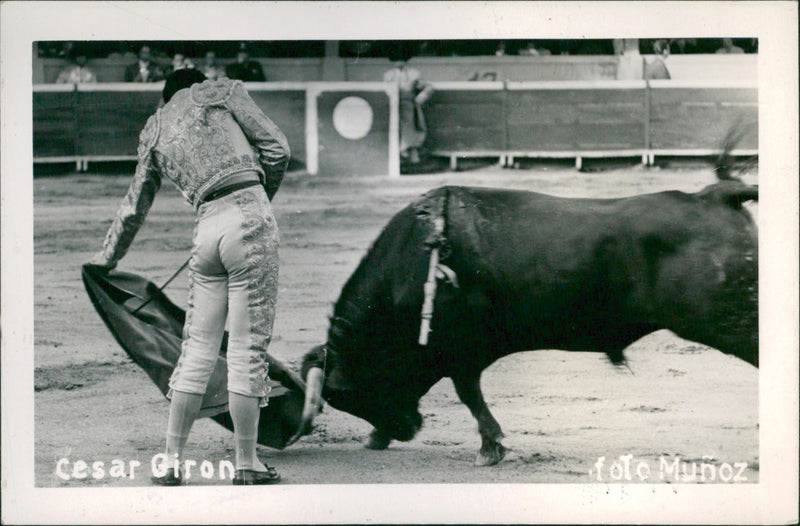 César Girón, Bullfighter - Vintage Photograph