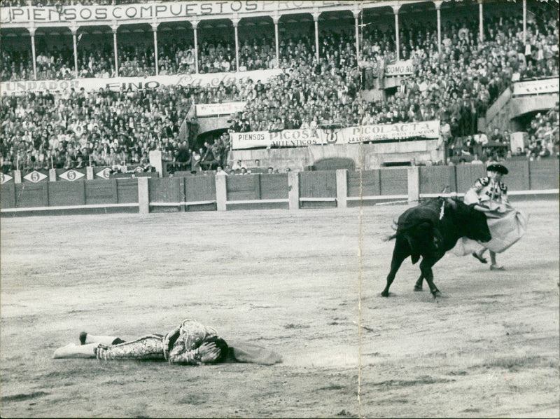 Matador Paco Camino on the ground. - Vintage Photograph