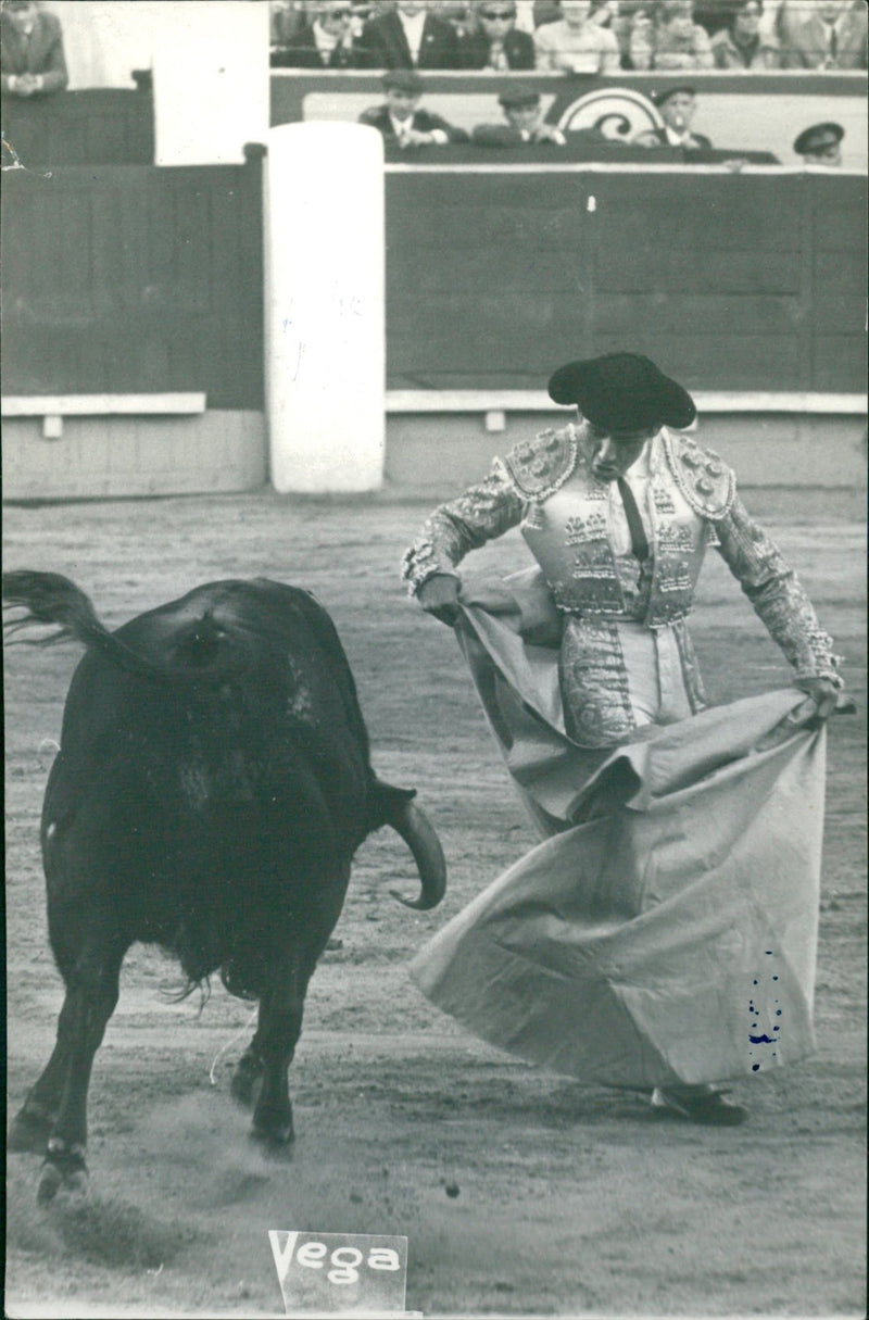 Héctor Villa (El Chano) dancing with the bull - Vintage Photograph