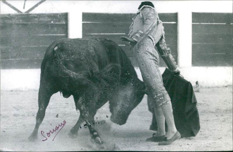 Héctor Villa (El Chano) dancing with the bull - Vintage Photograph