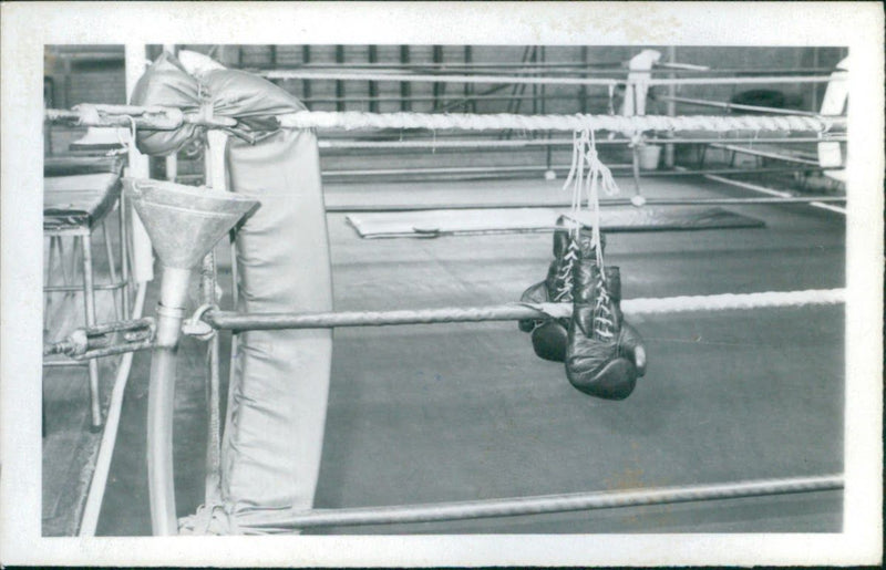 Boxing Gloves - Vintage Photograph
