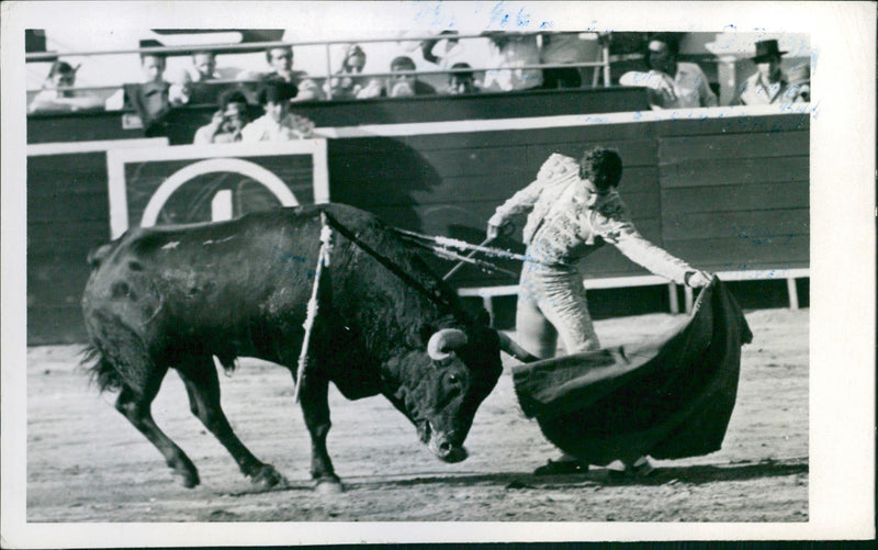 Eloy Cavazos - Vintage Photograph