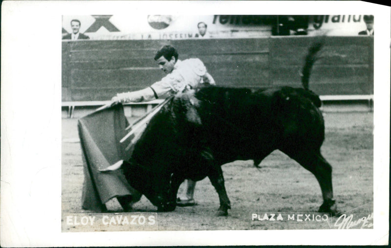 Eloy Cavazos, fighting a bull - Vintage Photograph